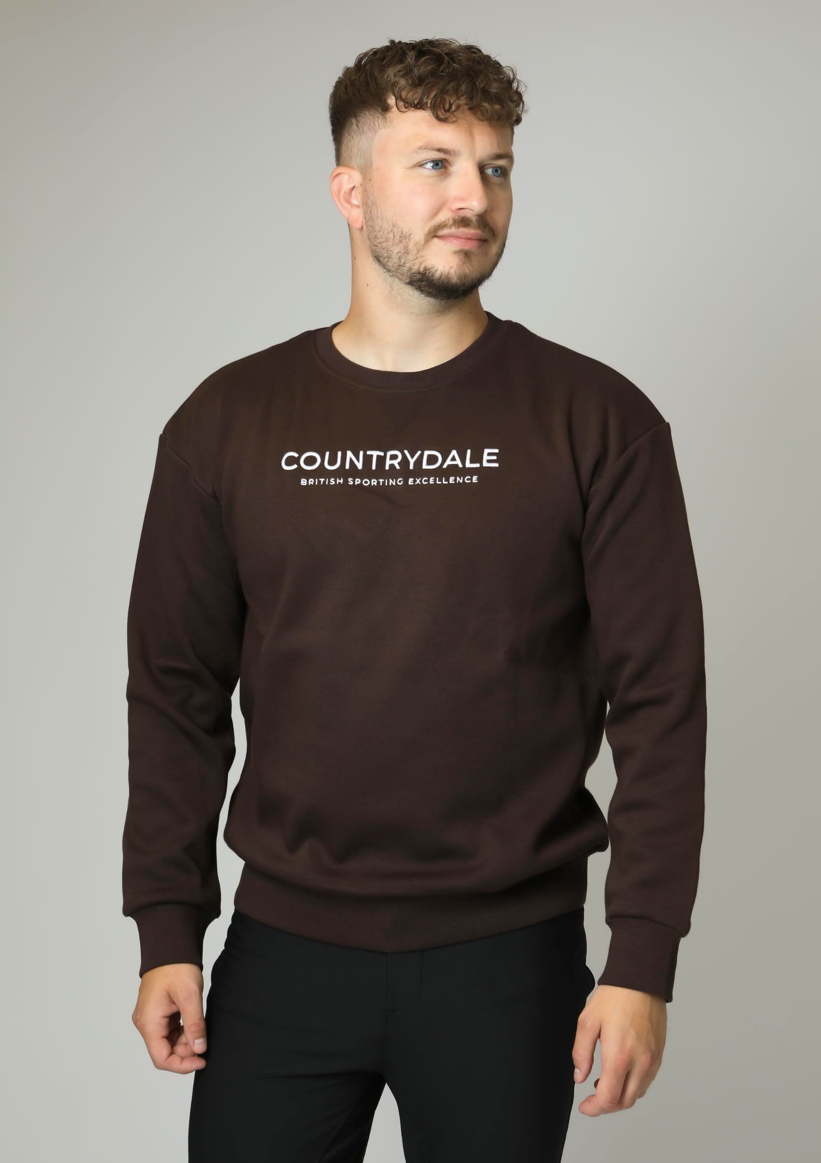 Mens Kensington Crew Neck Jumper (Brown)