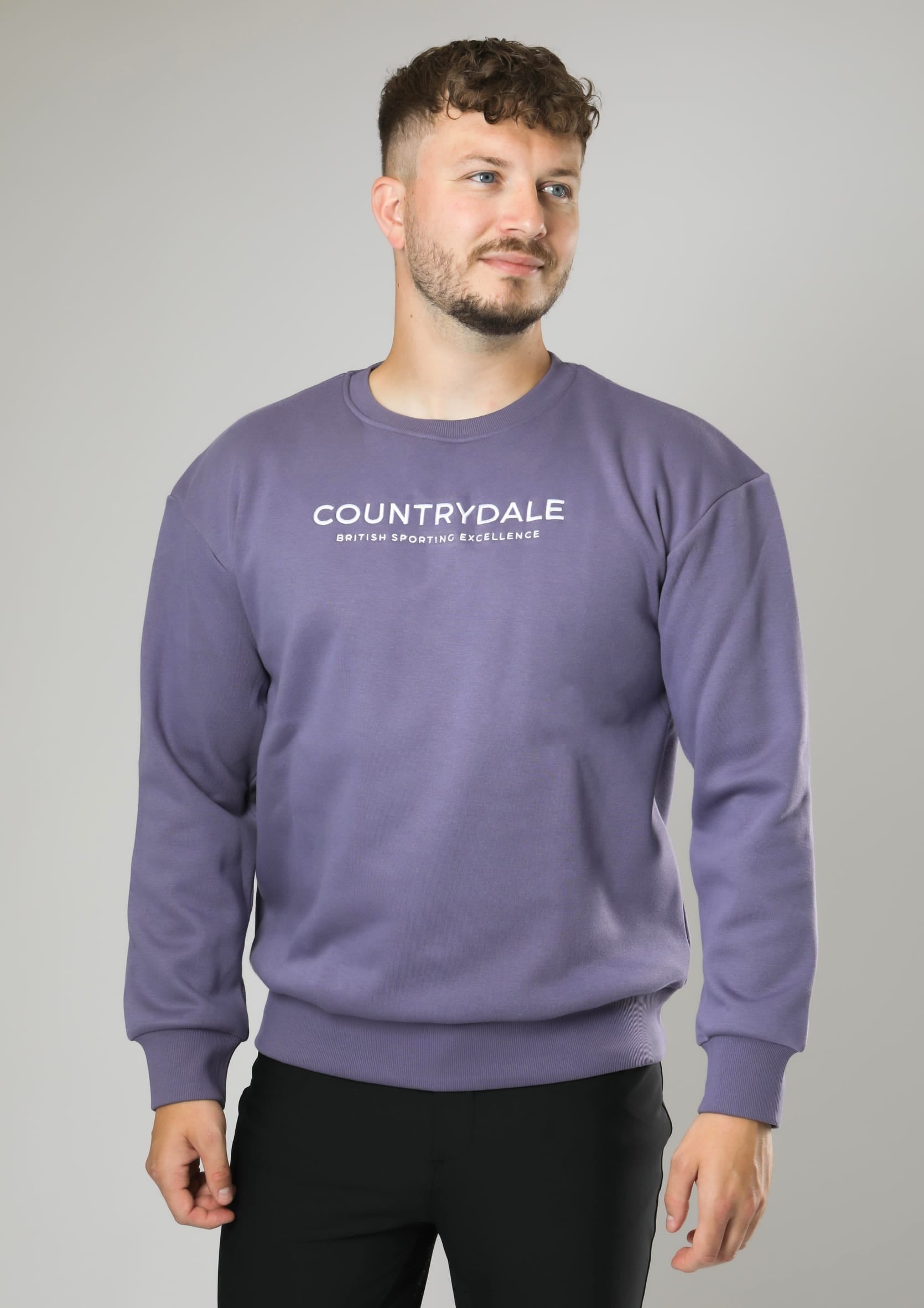 Mens Kensington Crew Neck Jumper (Orchid)